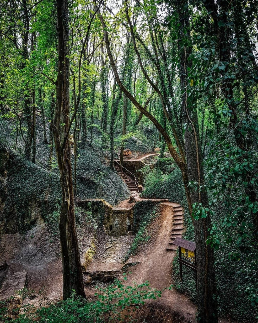 Haluzická tiesňava