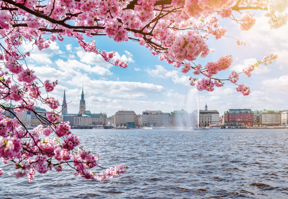 čerešňové stromy Hamburg