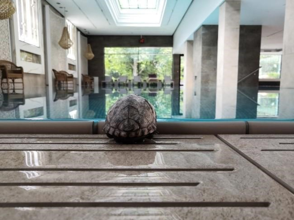 kto navštívil hotel Thermia Palace Ensana Health Spa Hotel
