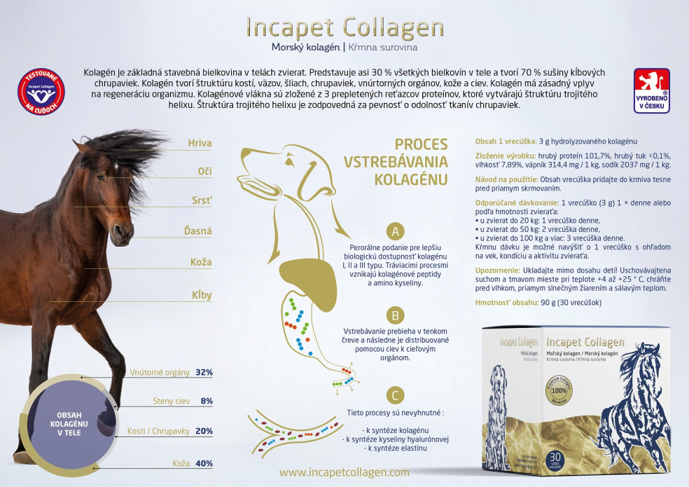 vplyv kolagénu na zvieratá