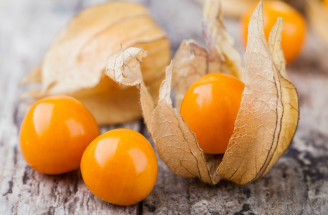 Physalis alebo machovka peruánska - dekoračná, ale i zdravá