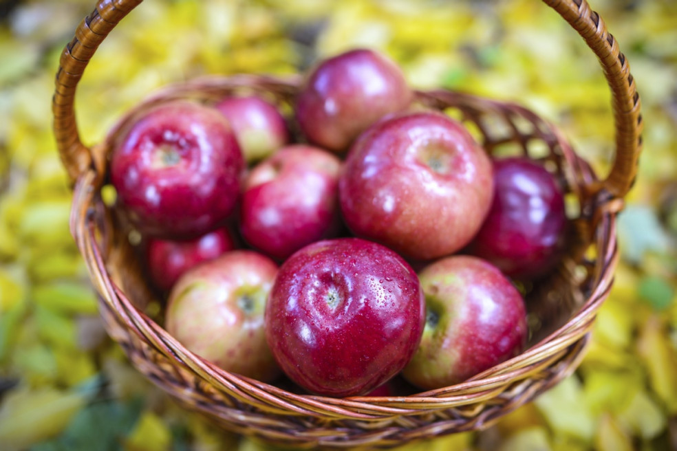 Chudnite s jablkami – pomôže vám jablková diéta