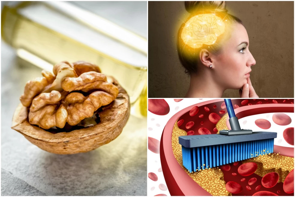 účinky oleja z vlašských orechov