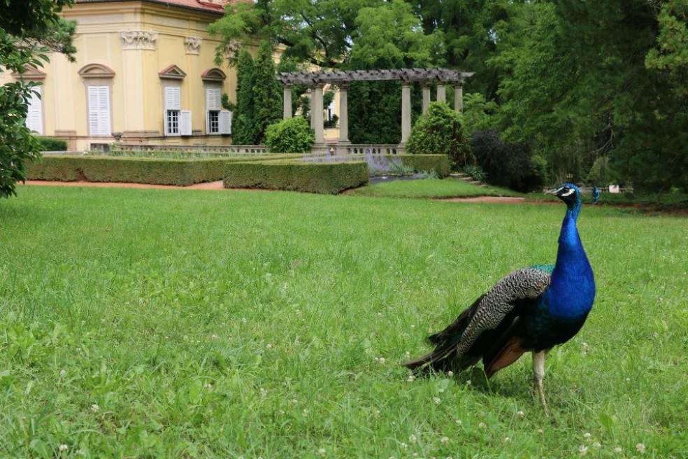 Zámok Buchlovice prehliadky