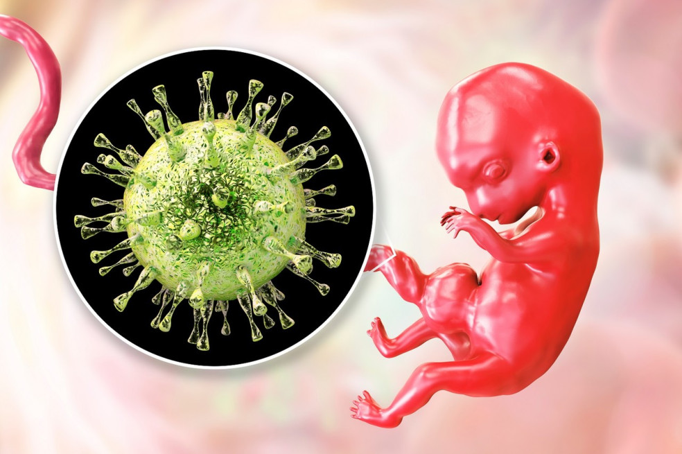 cytomegalovírus v tehotenstve