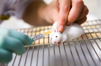 Kozmetika testovaná na zvieratách - Cruelty free: ÁNO či NIE?