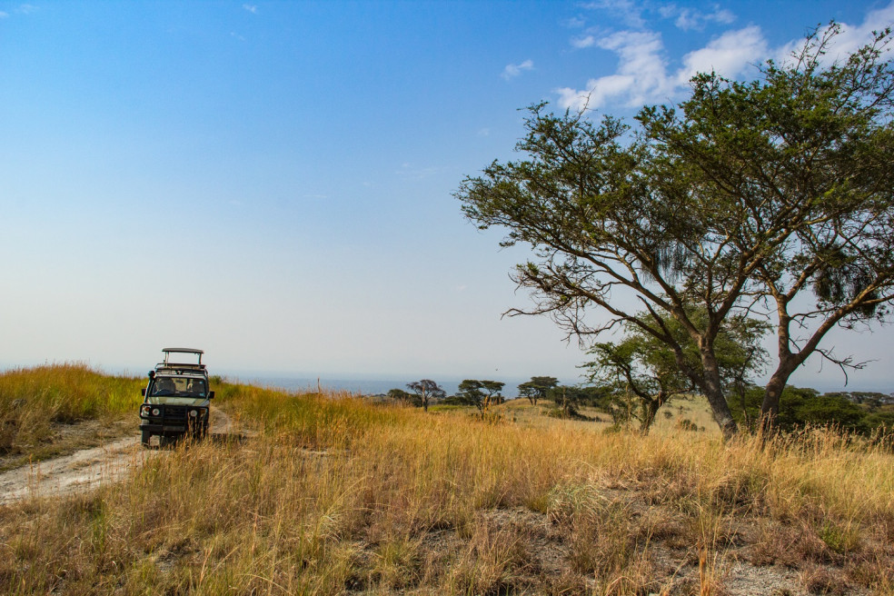 Uganda safari