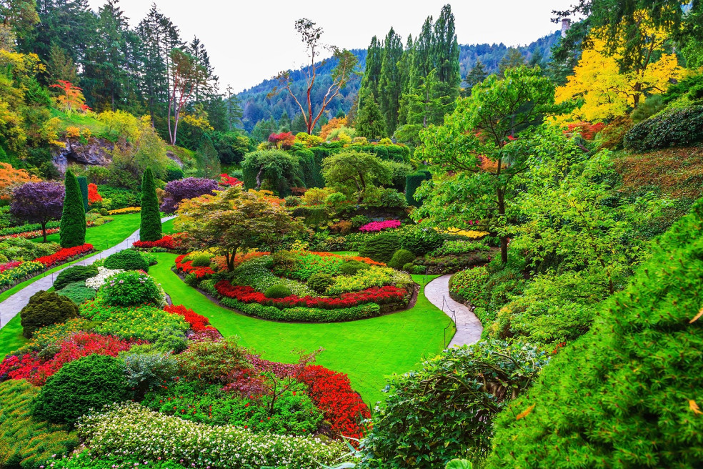 Butchard Gardens