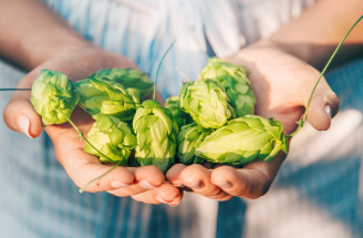 Chmeľ - pivo a nič viac? Omyl! Najmä tajomstvo zdravia a krásy!