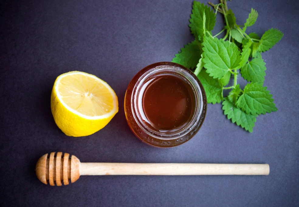 recept na pŕhľavový sirup