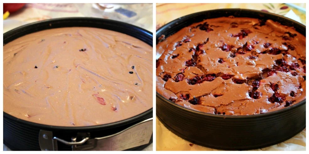 černicový cheesecake