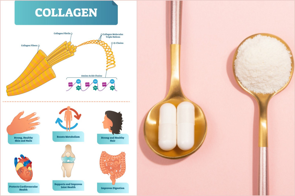kolagén v tele