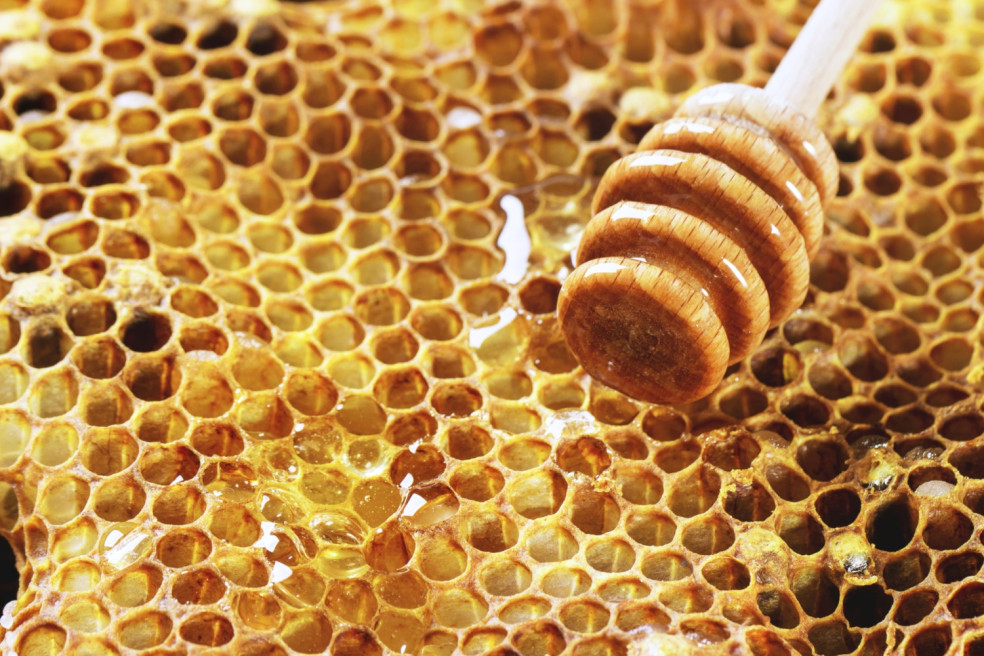 Med a jeho liečivé účinky