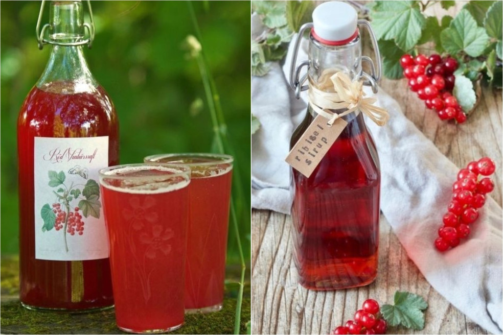 Syrup Rizcal Recept na ríbezľový sirup: Vychutnávaj si ríbezle po celý rok ...