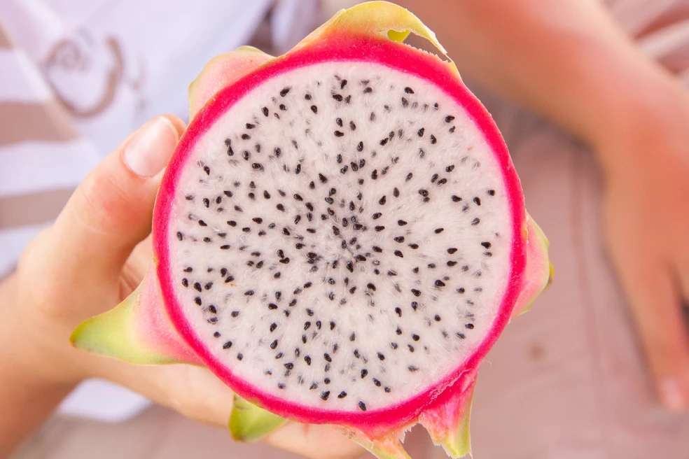ovocie pitaya