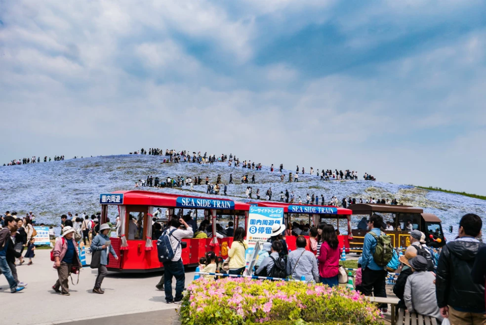 Japonsko Hitachi Seaside Park