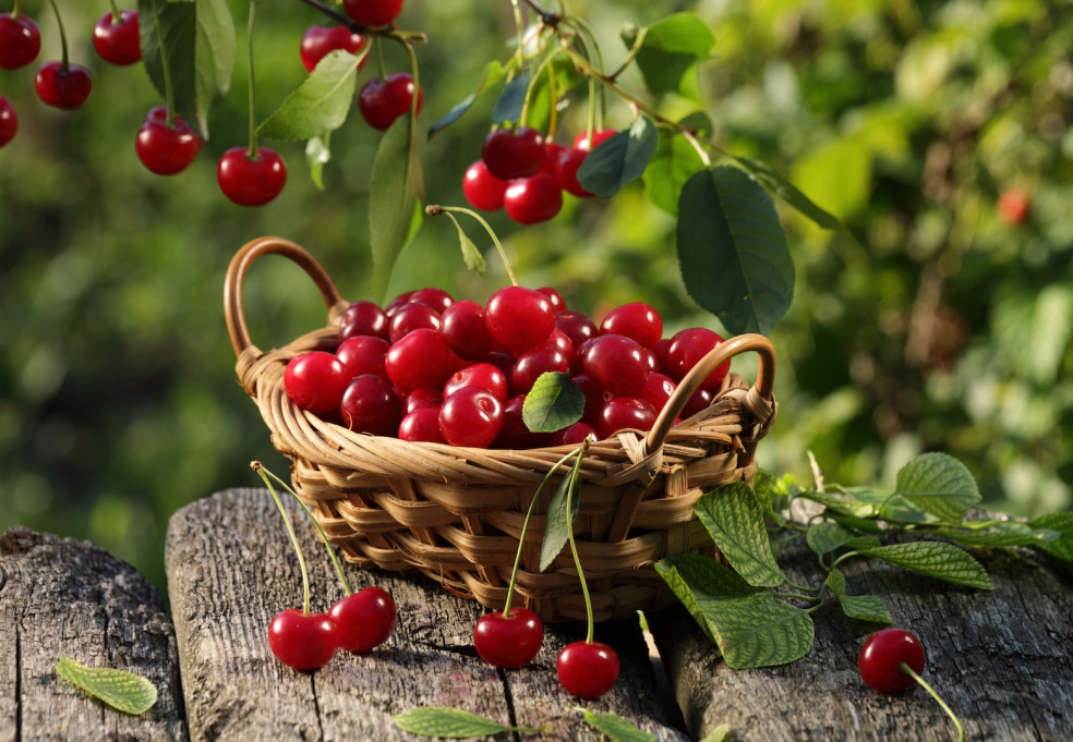 čerešne sú antioxidant