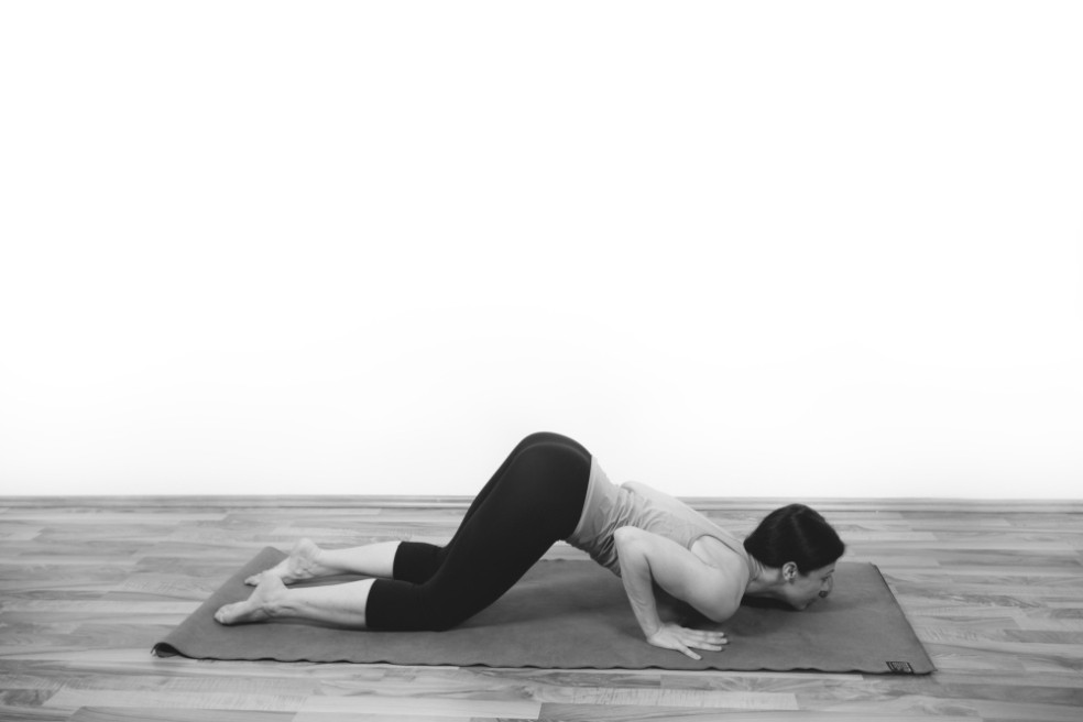 Ashtangasana/ Osem konárikov