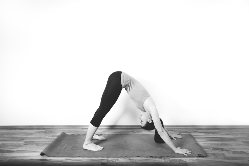 Dole pozerajúci pes/ Adho Mukha Svanasana/ Strecha