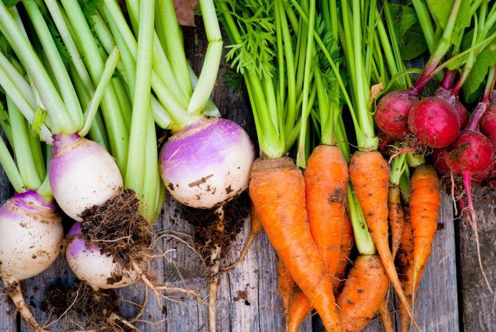detoxikačná koreňová zelenina