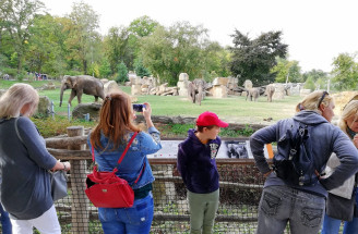 ZOO Praha: Jedinečné miesto, ktoré musíš navštíviť. Zisti, prečo!