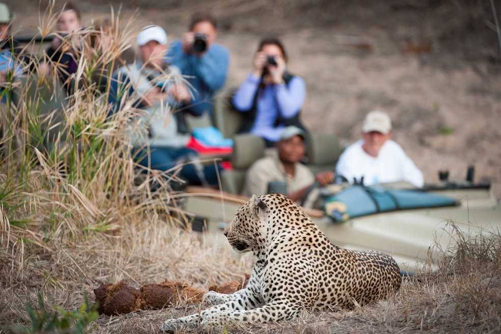 Ako vyzerá pravé africké safari?