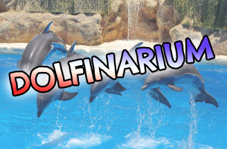 Holandsko - Dolfinarium, Harderwijk (časť 3/5)