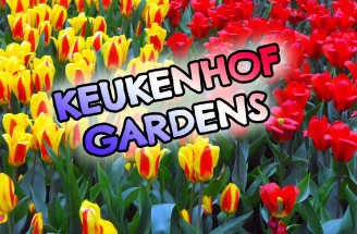 Holandsko – Keukenhof gardens, Lisse (časť 2/5)