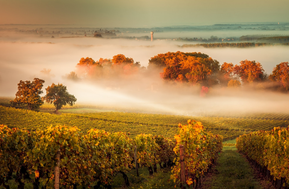 Bordeaux