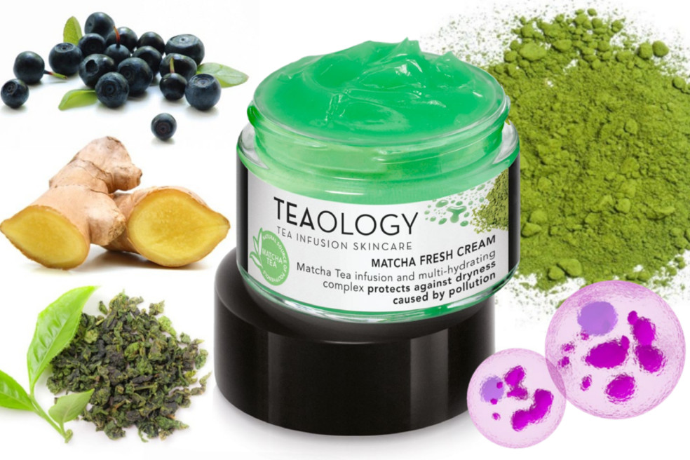 Teaology Matcha Fresh cream