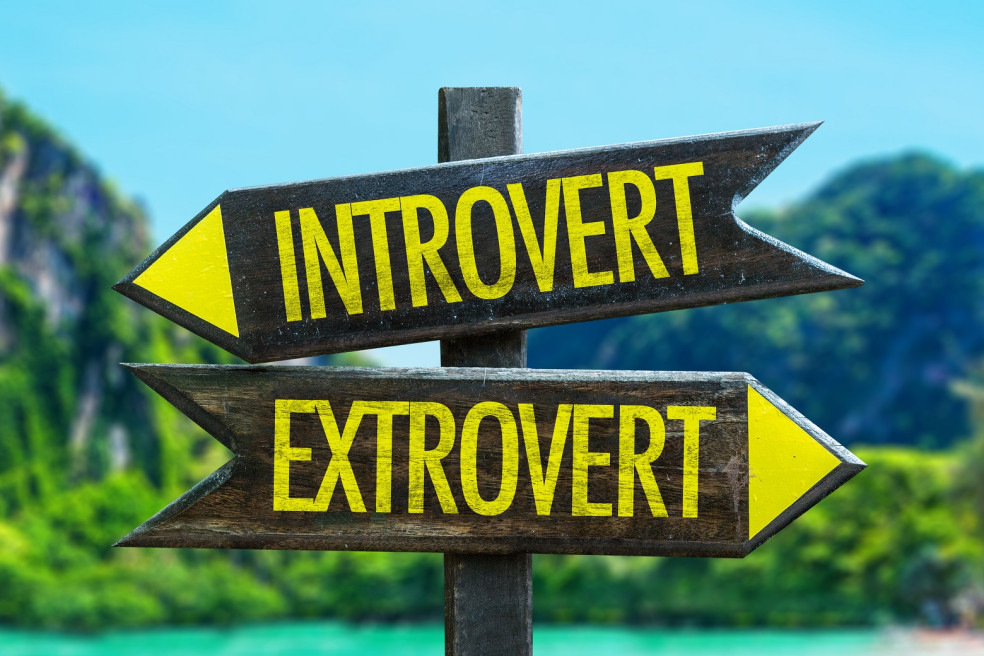 introvert kontra extrovert