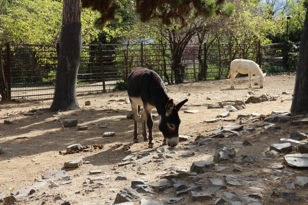 bojnická ZOO