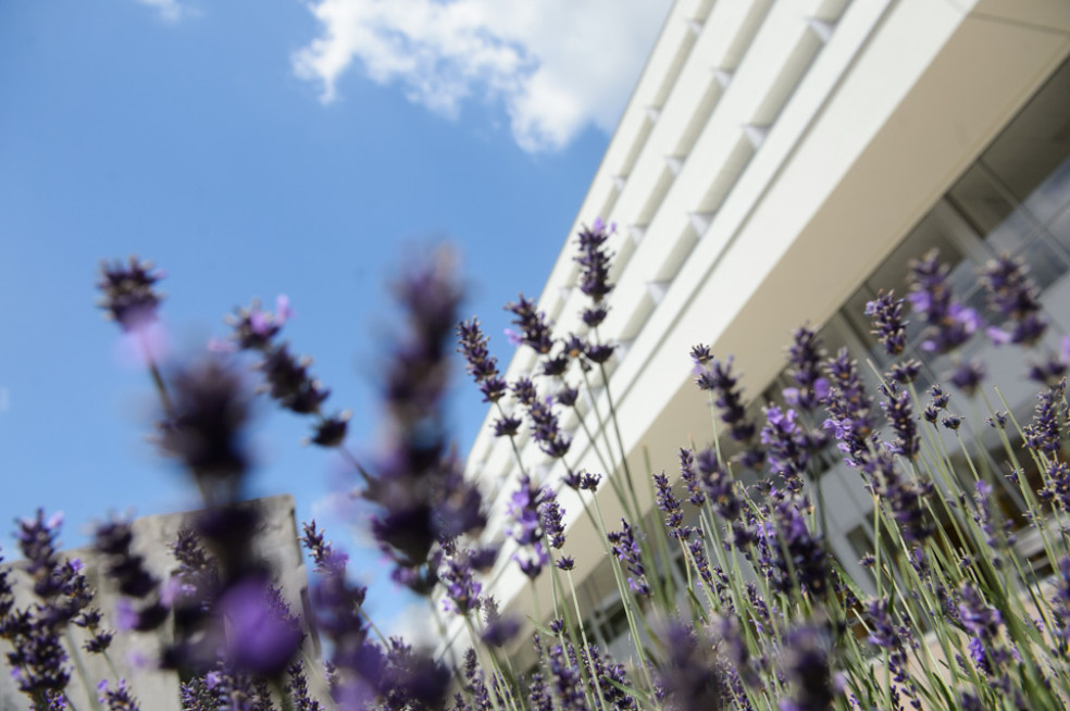 Grand Hotel Krym