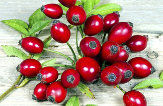 Šípky plné vitamínu C hrajú na jeseň prím