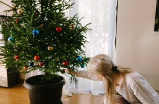 Ako často polievať vianočný stromček: Oveľa častejšie, než by si si myslela!