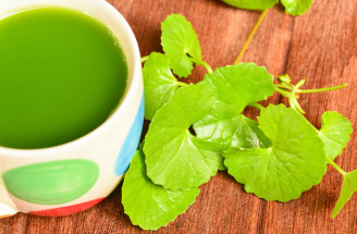 Pupkovník ázijský alebo Gotu kola: Čo dokáže tento zázrak?