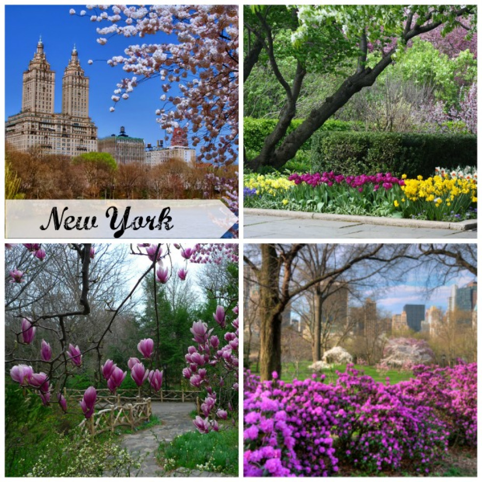 spring-newyork-kamzakrasou