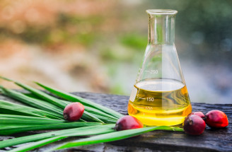 Čo je palmový olej a prečo kvôli nemu vymierajú nielen orangutany?