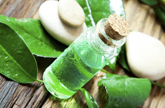 Čajovníkový olej (Tea Tree Oil): Prírodný zázrak z Austrálie a jeho účinky a využitie