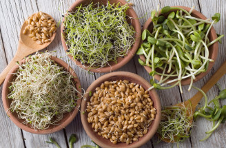 Nakličovanie semien: Vypestuj si zdravé klíčky v pohodlí domova!