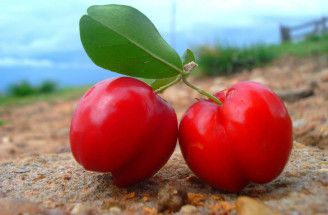 Acerola - ovocie s extra dávkou vitamínu C