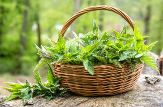 Žihľavový sirup od babičky: Jarný elixír s priaznivými účinkami