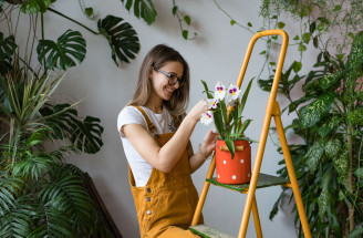 Ako sa starať o orchideu, aby krásne kvitla? Keď je smädná, ukáže to!