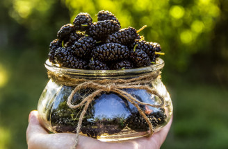 Recept na kompót z moruše čiernej: Tejto chuti určite neodoláš!