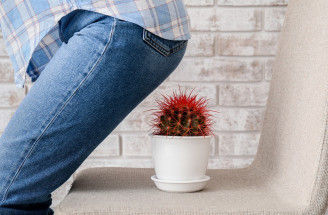 Hemoroidy a ich prevencia – 7 tipov, ako predísť nepríjemnému problému