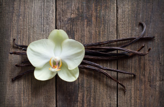 Vanilkový struk: Prečo sa ho oplatí používať v kuchyni častejšie?