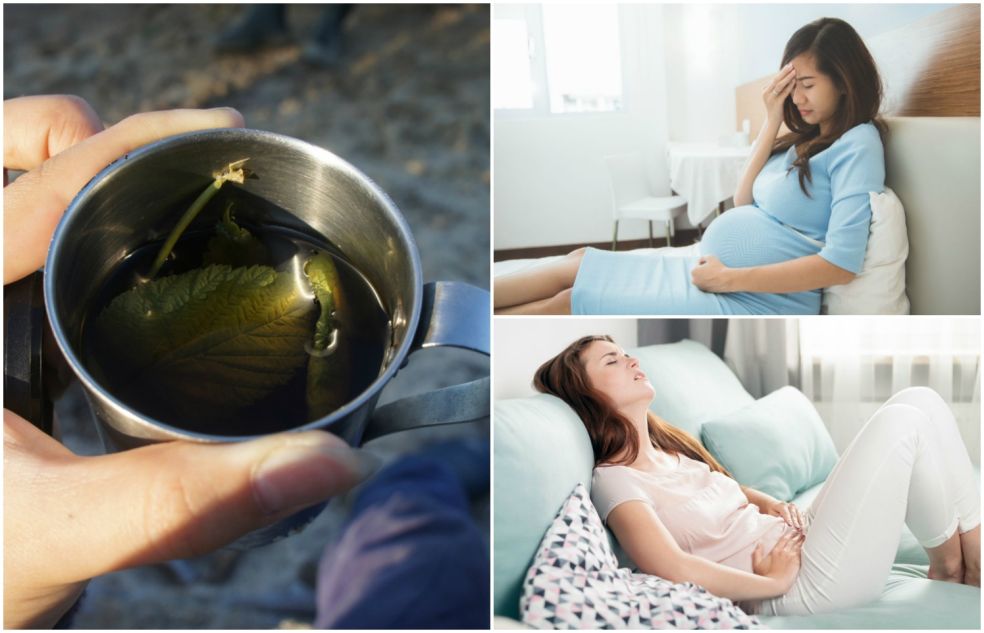 Čaj z malinových listov pomáha tehotným ženám