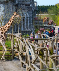 Nejlepší ZOO v Evropě tě zve do fantastického světa zvířat. Toto místo si nesmíš nechat ujít!