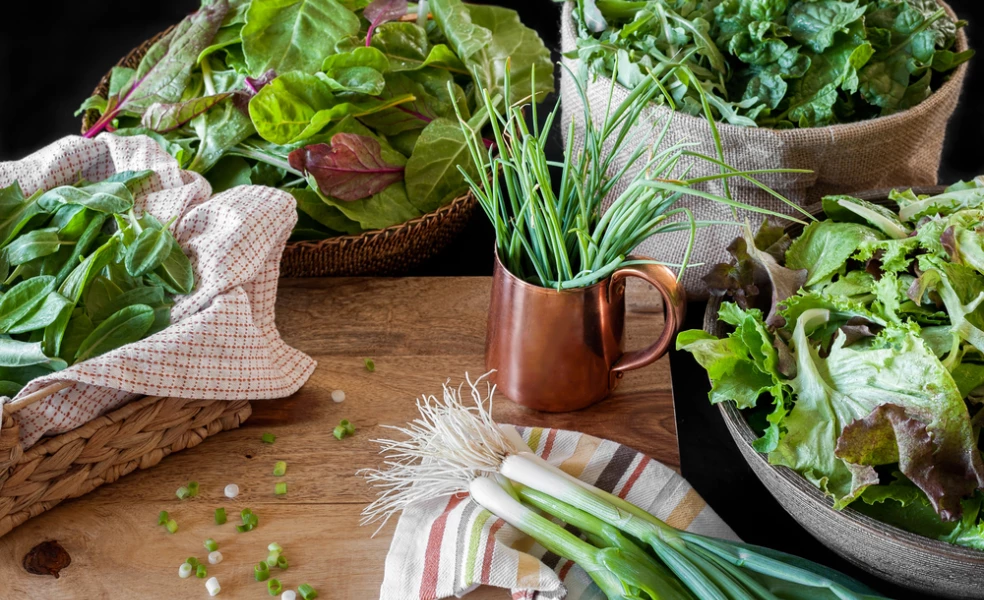 detoxikácia po antibiotikách