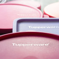 Tupperware krachuje: Ikonické plastové nádoby, ktoré premenili matky na bohaté paničky, vyhlásili bankrot